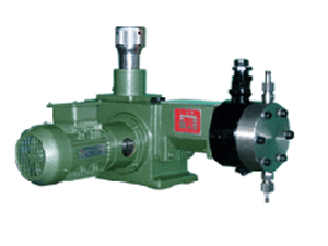 JXM��ĤӋ����